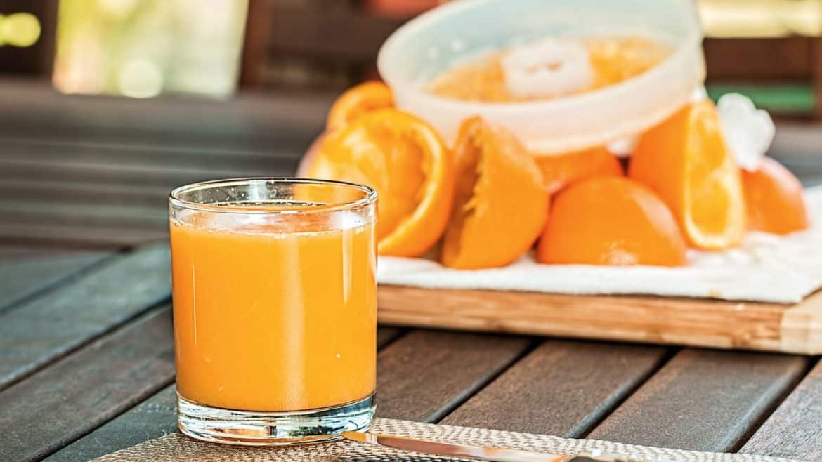 La centrifugeuse professionnelle est idéale pour préparer des jus