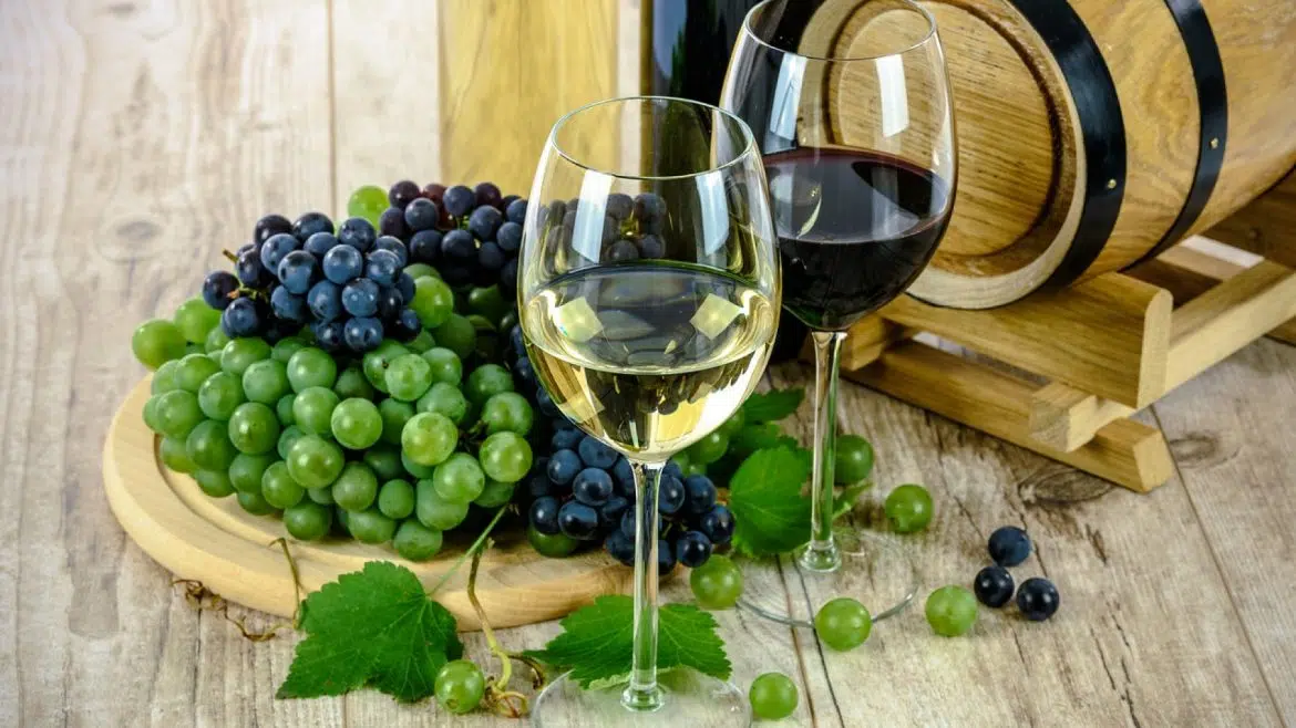 Où acheter des vins et spiritueux de qualité ?
